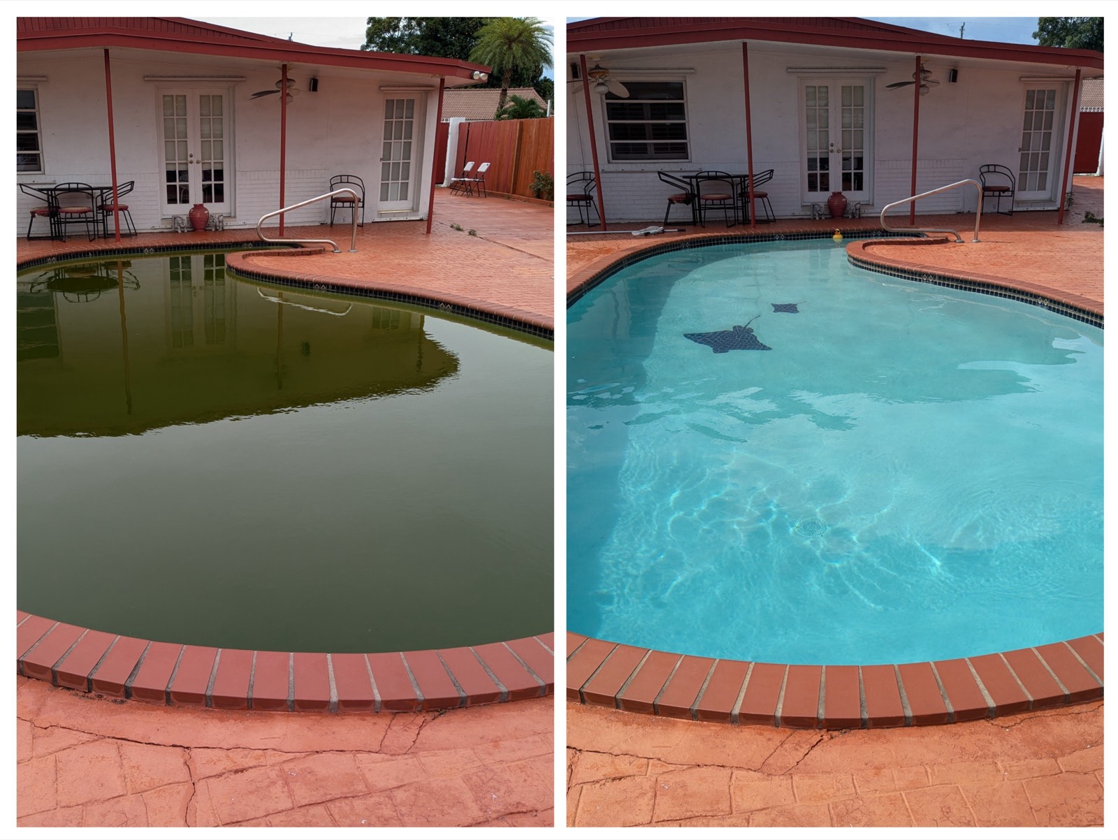 Before and after: murky green pool under a covered lanai restored to bright turquoise water