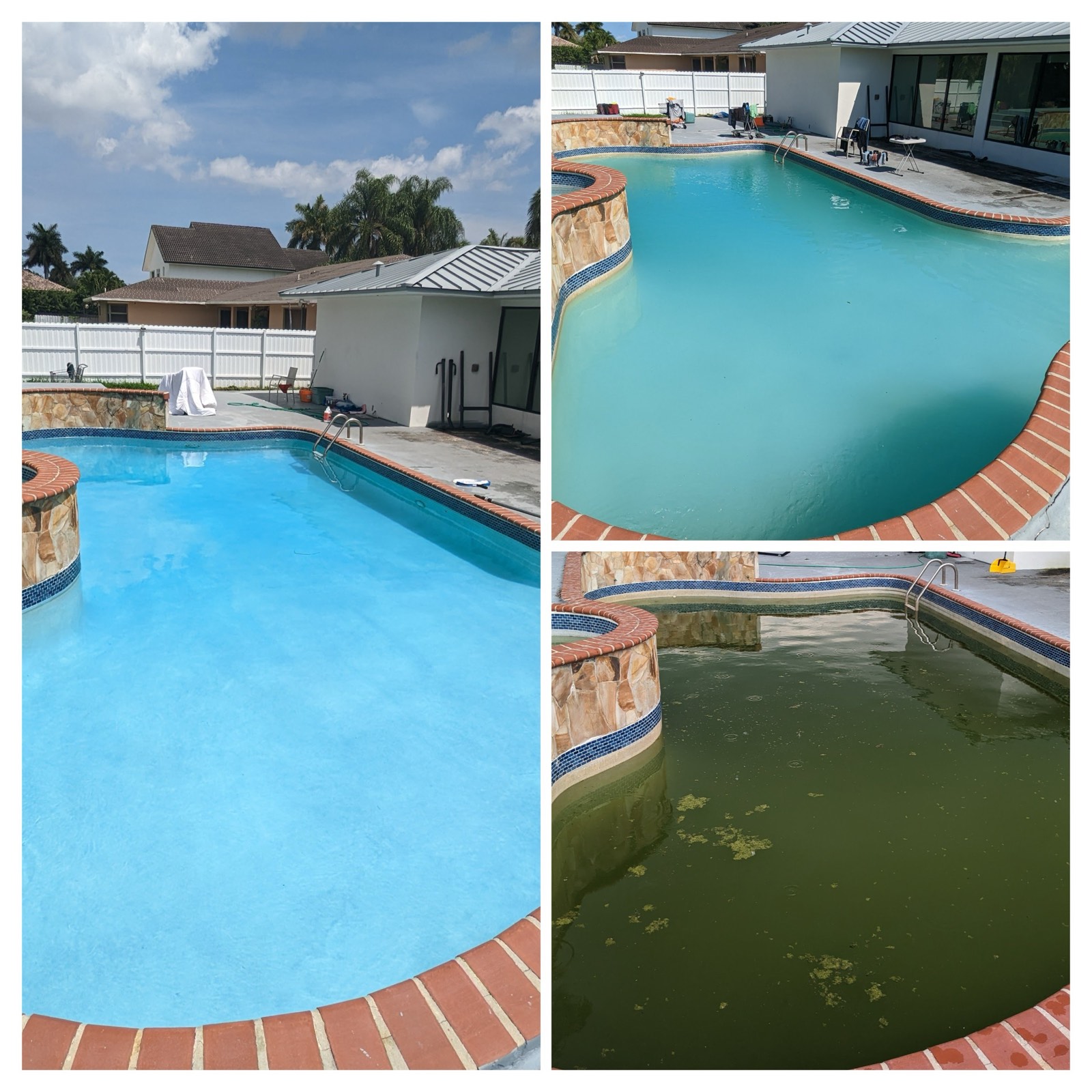 Three-stage pool recovery from full green algae to hazy to fully clear blue water