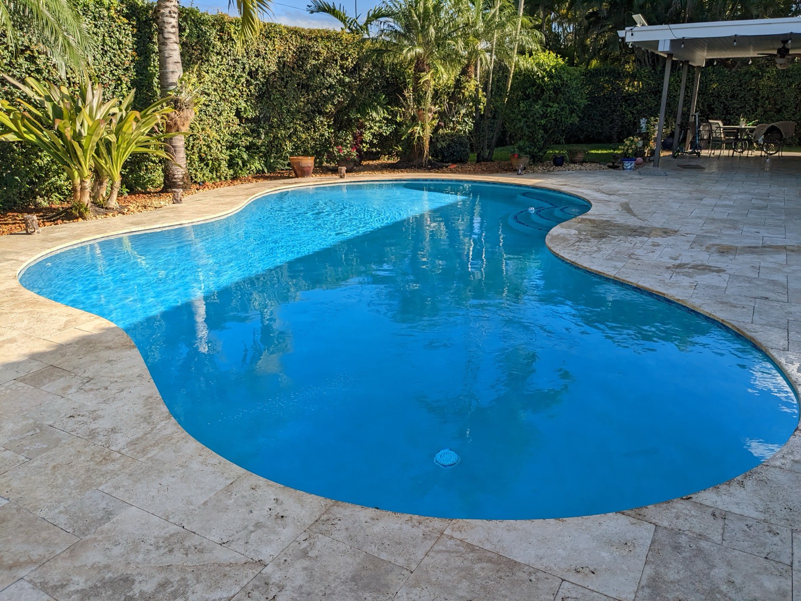 Freeform lagoon-style pool surrounded by tropical landscaping
